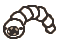 File:Scolex button.png
