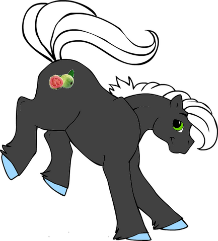Fichier:Tino Guava.png
