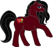Massima Raspberry