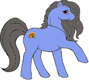 Chira Mandiocamel