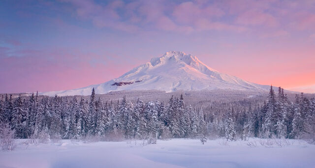 File:Bing 12.1.2011.jpg