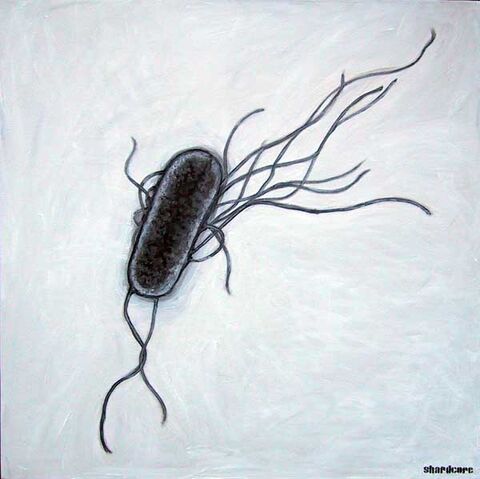 Archivo:E coli.jpeg