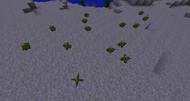 Fichier:PetitCactus2.png