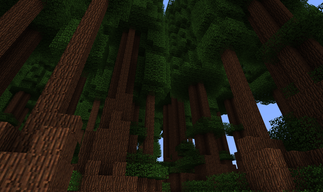 File:Redwood Forest.png