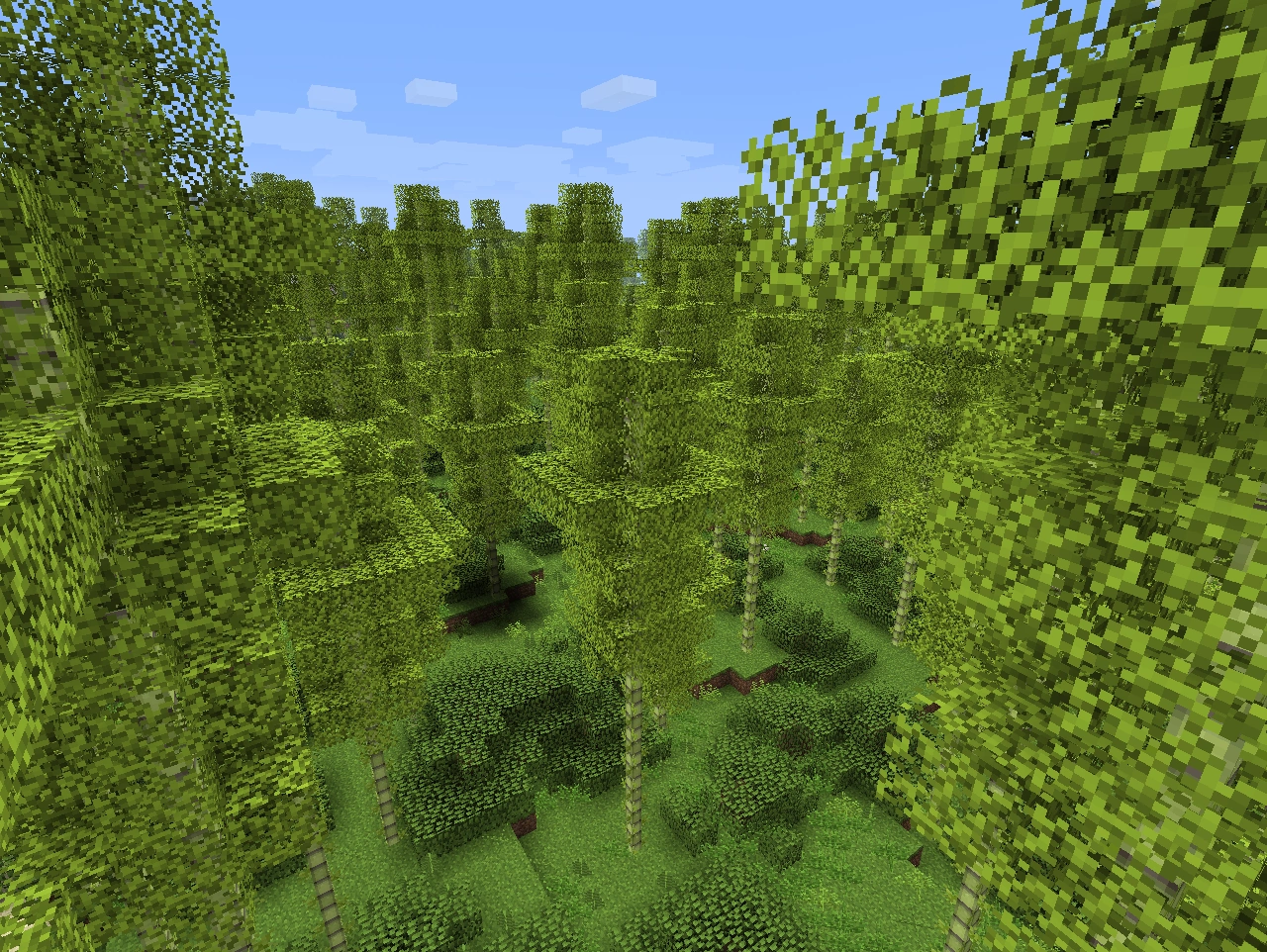 Bamboo Forest Biomes O' Plenty Wiki FANDOM powered by Wikia