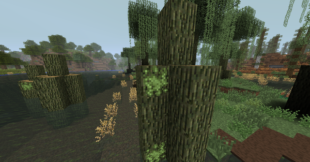 File:BayouMoss.png