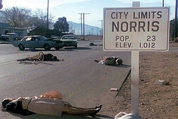 Norris