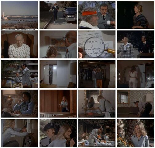 File:Th-The.Bionic.Woman.S03E11.DVDrip.XviD-SAiNTS.jpg