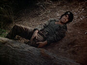 Wounded Soldier