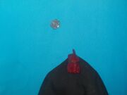 100 2805.jpg