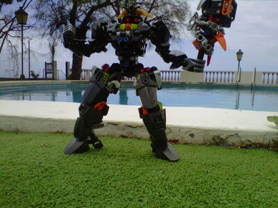 IMG01161-20130428-1400