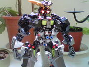 IMG01171-20130502-1131