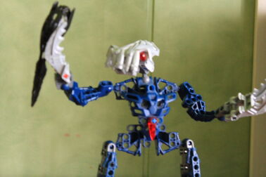 IMG 0479.jpg
