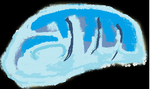 Antirohk..png