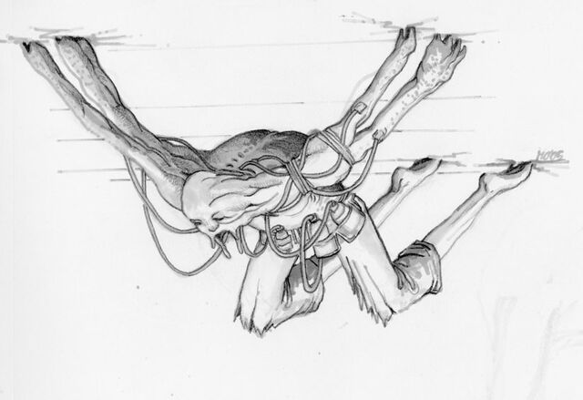 File:Early Ceiling Crawler Concept.jpg