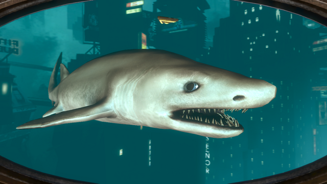 File:Shark.png