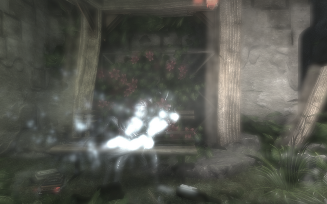File:Dieter Sonnekalb's Ghost.png