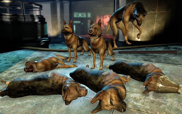 File:DogsBaSE2.jpg