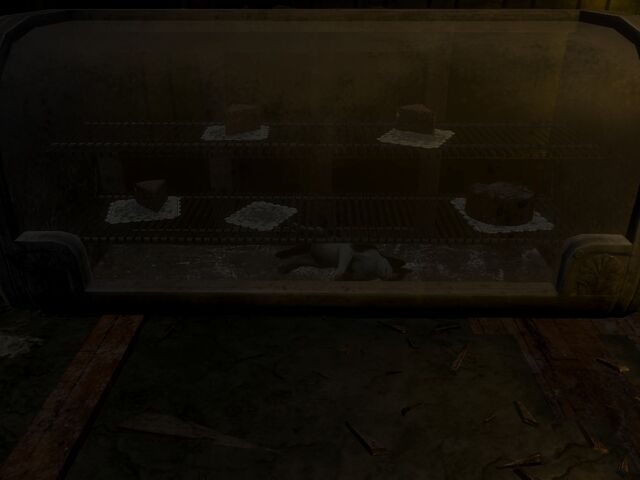 File:CatAndCake.jpg