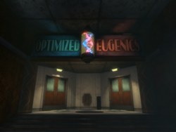 Ingresso Eugenetica Ottimizzata