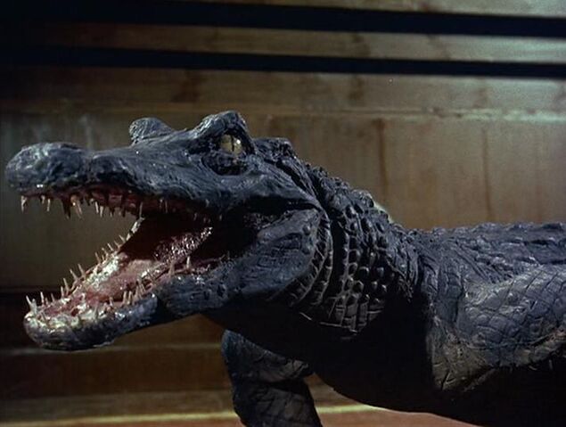 File:Giant Baby Crocodile.jpg