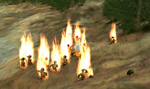 Flamingfollowers