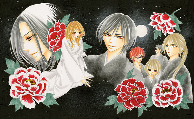 File:Black Bird wallpaper.jpg