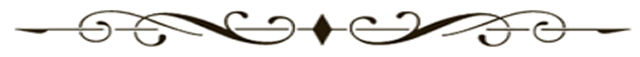 File:Divider line.jpg