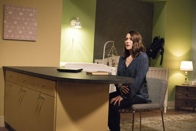 File:The Blacklist - 4x03 - Liz.jpg