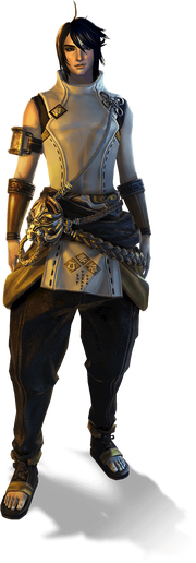 Race expanded c jin m