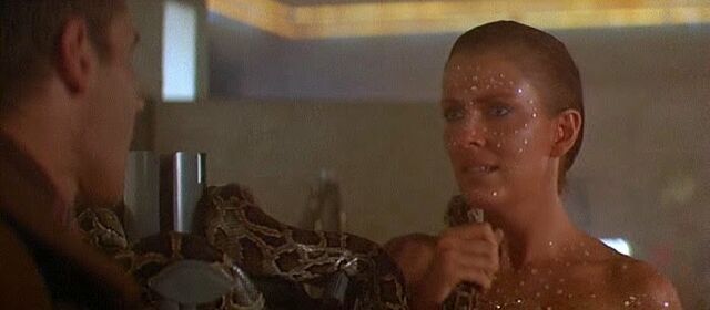 File:Zhora and Deckard.jpg