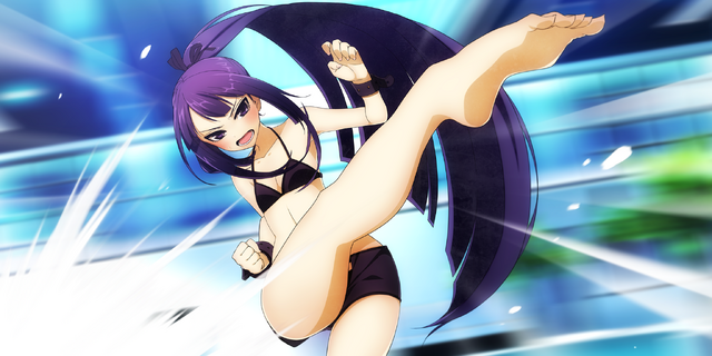 File:XBlaze Lost Memories (Illustration, 92, Type B).png