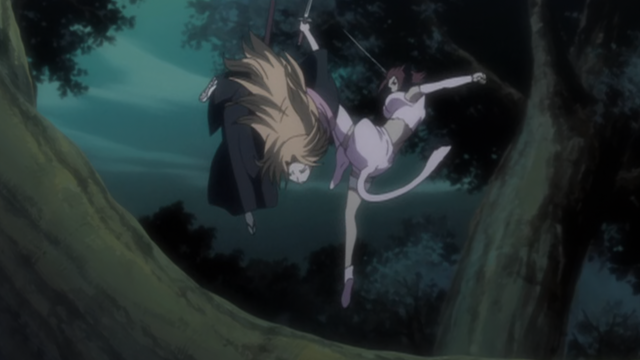 File:Ep239HainekoPunchesRangiku.png