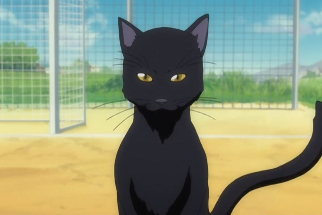 File:Ep205YoruichiCatCharaPic.png