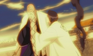 E330 Unohana stops Yamamoto.png