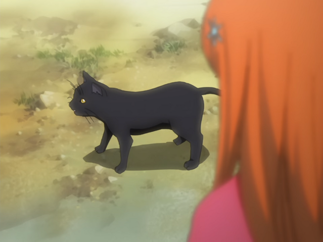 File:Ep20YoruichiAdvisesResolve.png