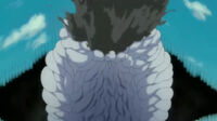 Fura derrotado.jpg