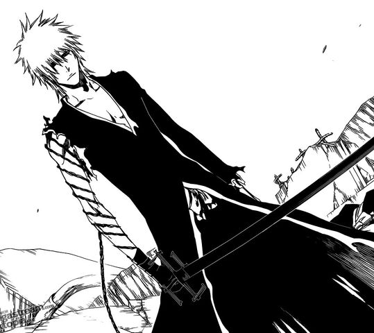 Archivo:Bleach (423).jpg
