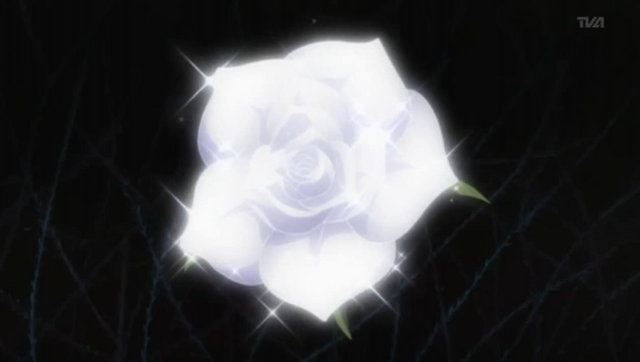 Archivo:800px-Rosablanca.png