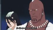 Bleach 196-Arrancar Enciclopedia.jpg