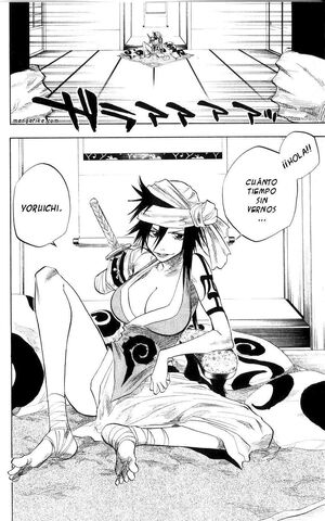 Archivo:Bleachmanga13.jpg