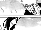 Bleach334.jpg