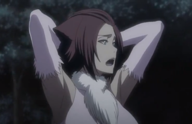 File:238Haineko wonders.png