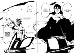 Byakuya y Kenpachi aparecen claramente.jpg