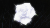 Rosablanca.png