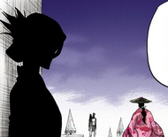 645Shunsui reveals