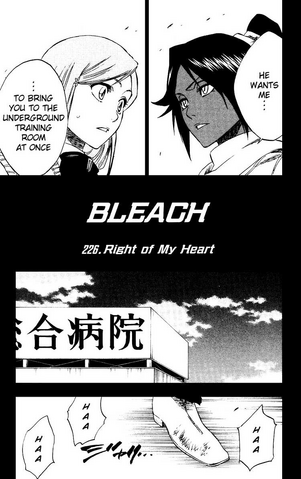 File:Chapter226Cover.png
