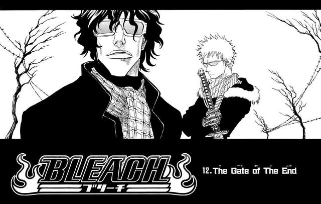 File:C 12 cover.jpg