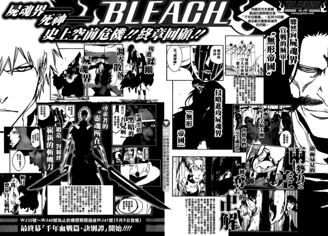 File:Bleach info.png