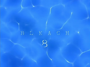 Bleach 8